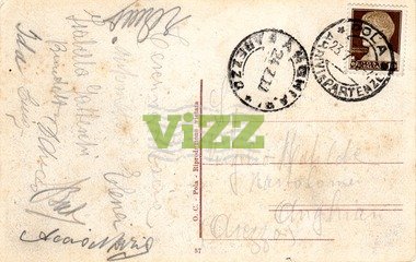 063 lice