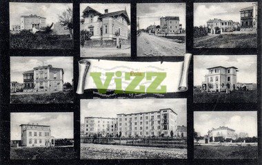 093 lice