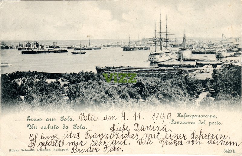 071 lice