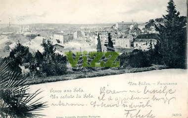 084 lice