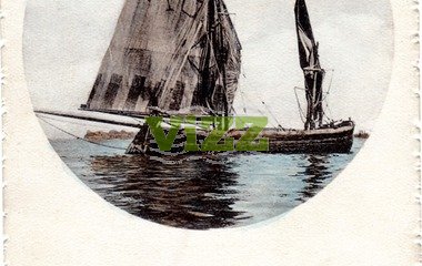 041 lice