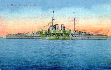 010 lice