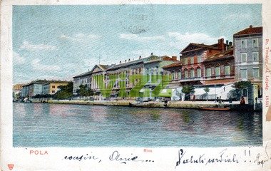 019 lice