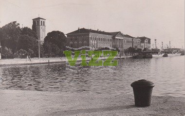 011 lice