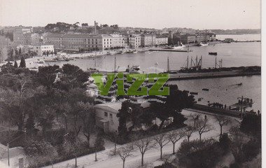 009 lice