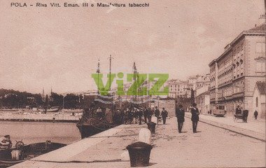 017 lice