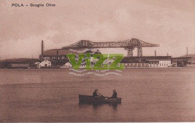 015 lice