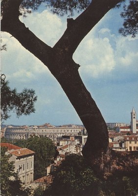 Razglednica 324
