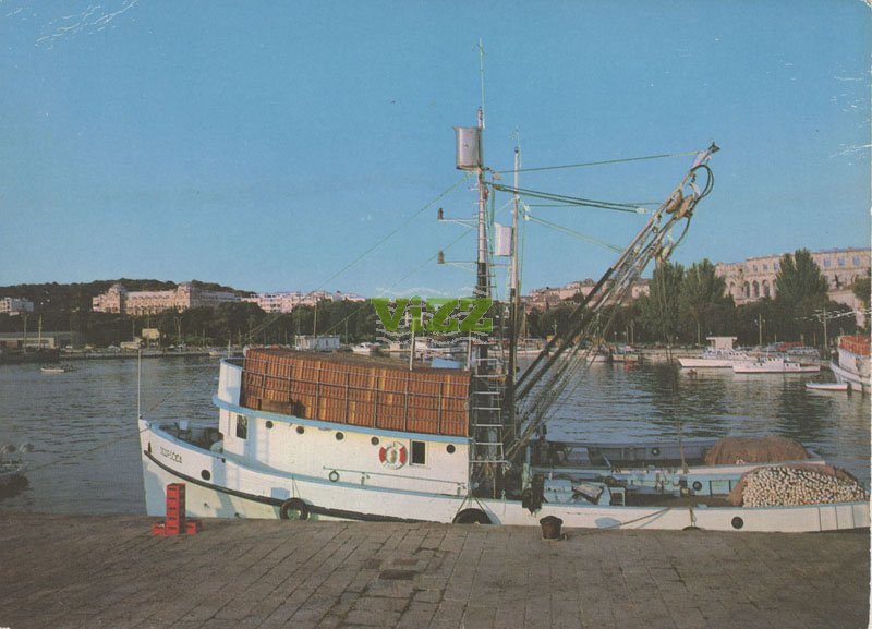 206 Front