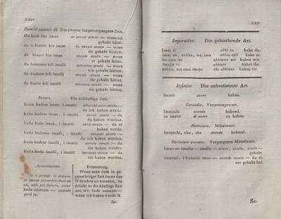 ricsoslovnik 30