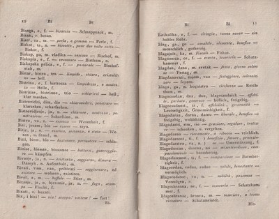 ricsoslovnik 53
