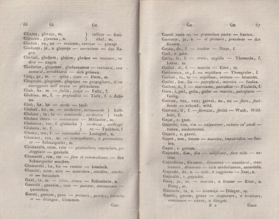 ricsoslovnik 81