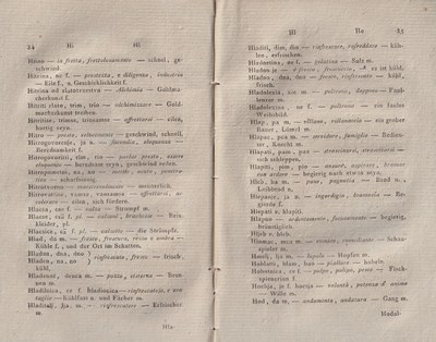 ricsoslovnik 89