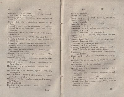 ricsoslovnik 90