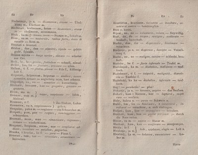 ricsoslovnik 91