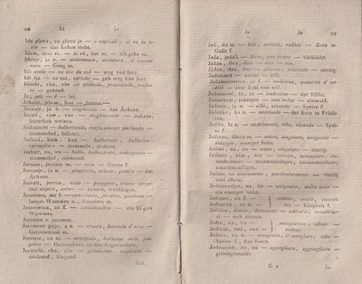 ricsoslovnik 96