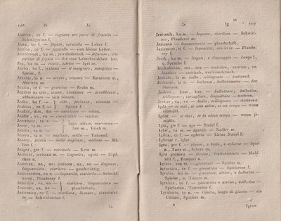 ricsoslovnik 100