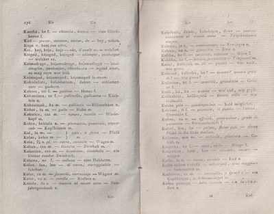 ricsoslovnik 134