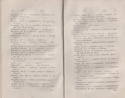 ricsoslovnik 136