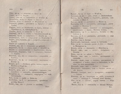 ricsoslovnik 146