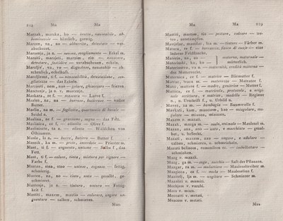 ricsoslovnik 160