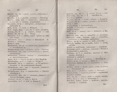 ricsoslovnik 161