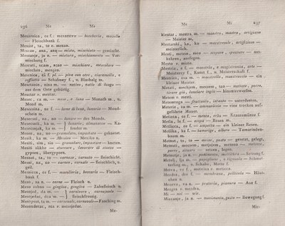 ricsoslovnik 164