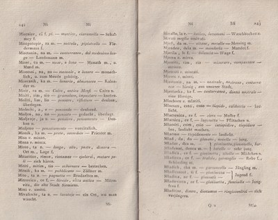 ricsoslovnik 167