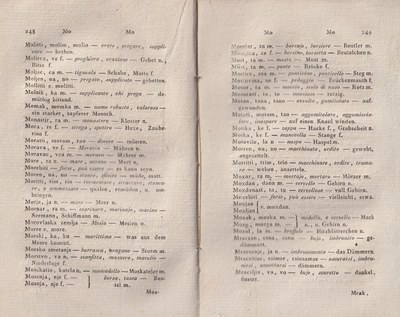 ricsoslovnik 170