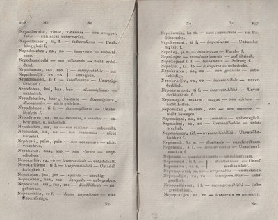 ricsoslovnik 194