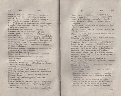 ricsoslovnik 205
