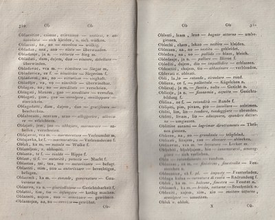 ricsoslovnik 206