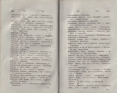 ricsoslovnik 213
