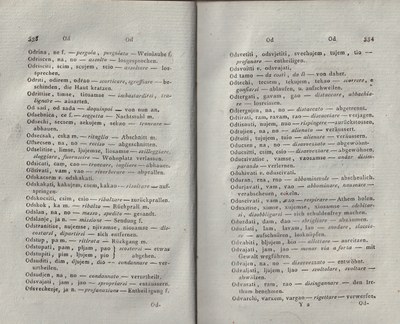ricsoslovnik 215