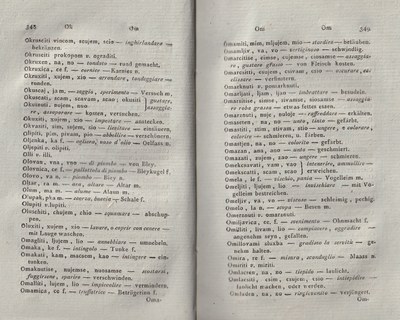 ricsoslovnik 220