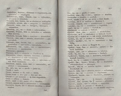 ricsoslovnik 221