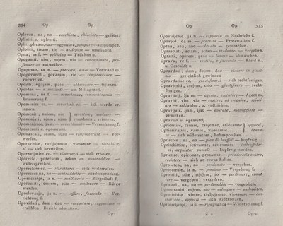 ricsoslovnik 222