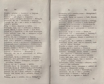 ricsoslovnik 241