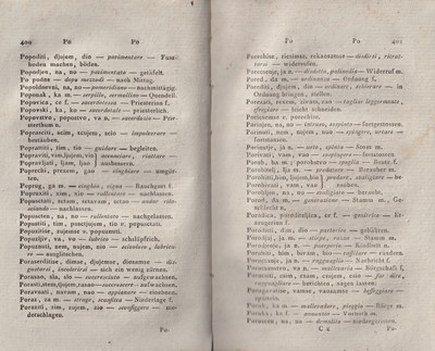 ricsoslovnik 244