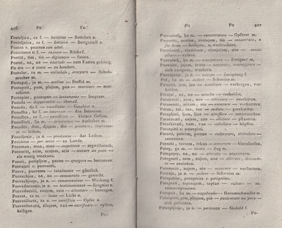 ricsoslovnik 247