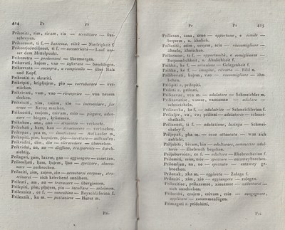ricsoslovnik 256
