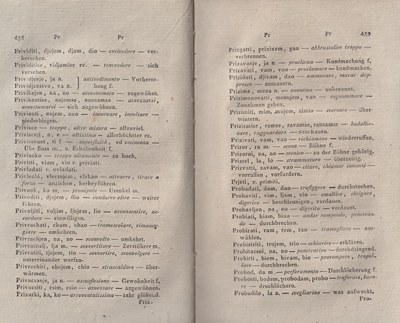ricsoslovnik 263
