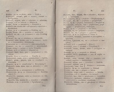ricsoslovnik 265