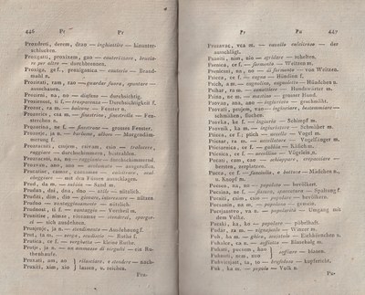 ricsoslovnik 267