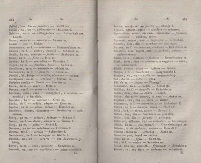 ricsoslovnik 285