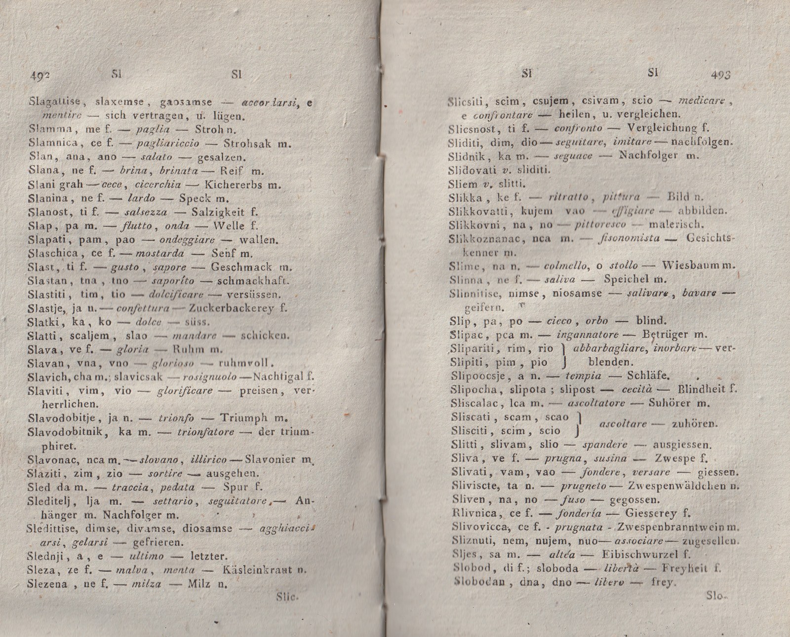 ricsoslovnik 289