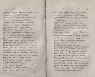 ricsoslovnik 289