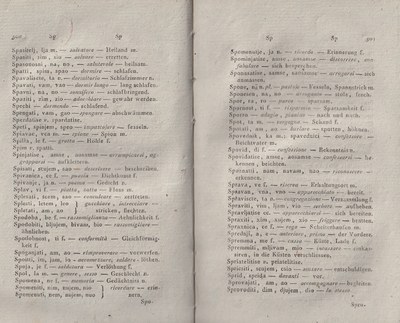 ricsoslovnik 293