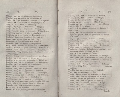 ricsoslovnik 306
