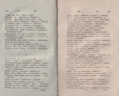 ricsoslovnik 307